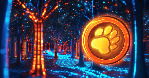 The Rising Stars of the Meme Coin Revolution