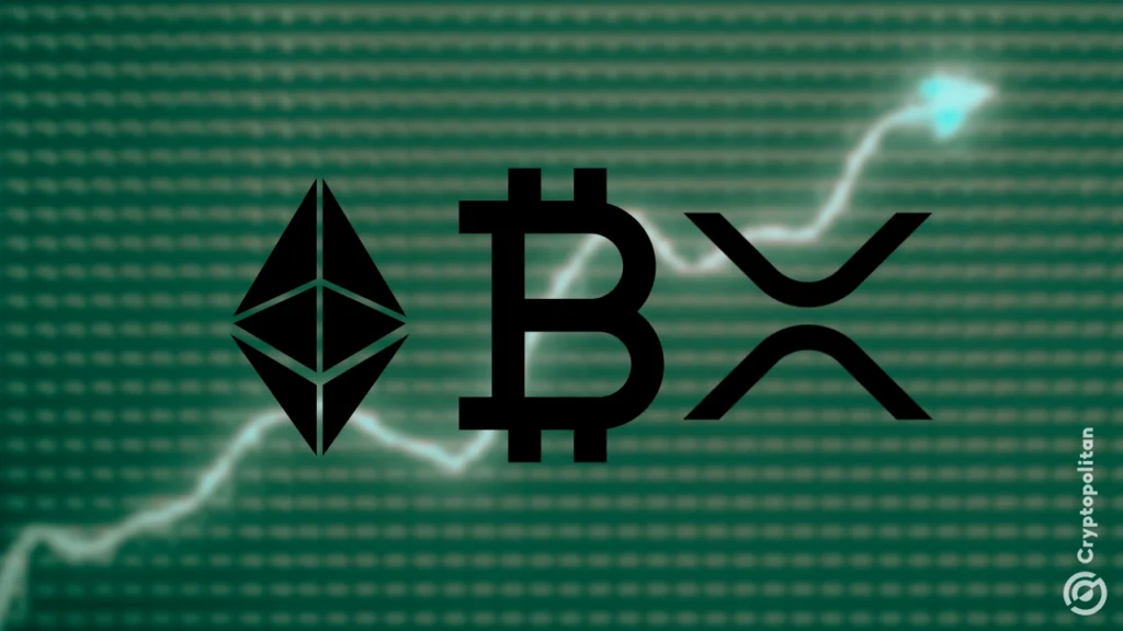 Crypto trends 2025: Ether, XRP, Bitcoin lead wallet growth; but who’s losing?