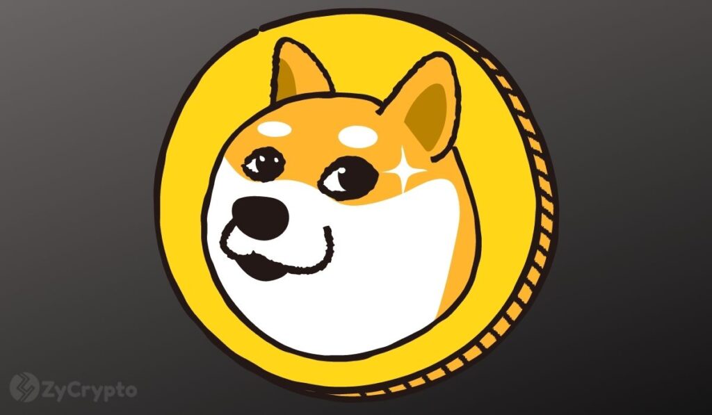Dogecoin Sprints North After Its Logo Appears On Elon Musk’s ‘DOGE’ Website — Is $1 Possible? ⋆ ZyCrypto