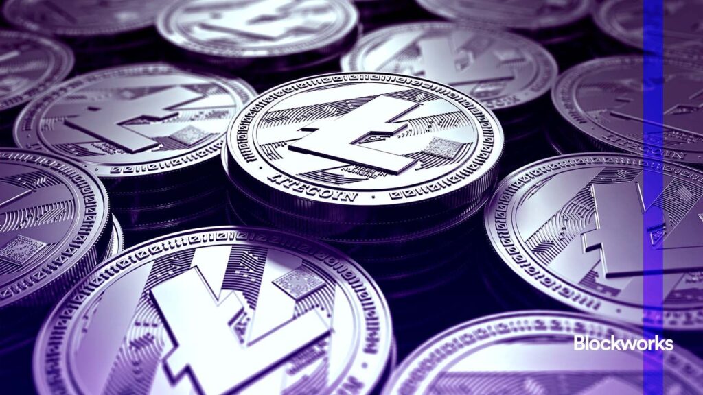 ETP: Exchange-traded patience – Blockworks