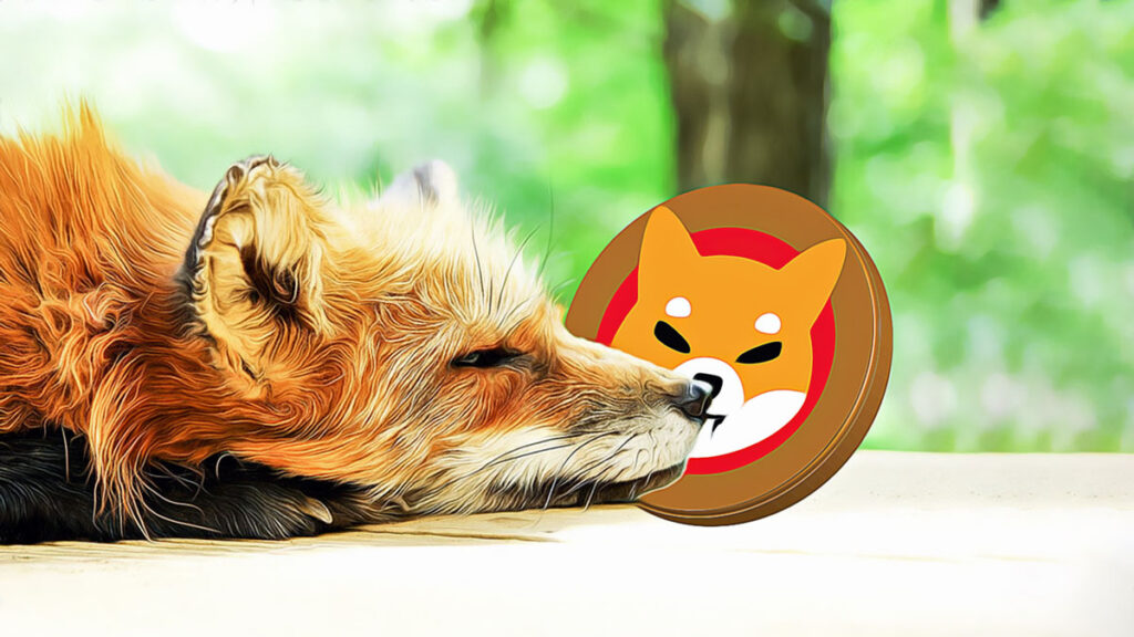 Whales Invest Heavily in Shiba Inu Tokens