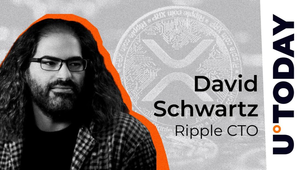 Ripple CTO Ends Speculation on ‘Private XRP’